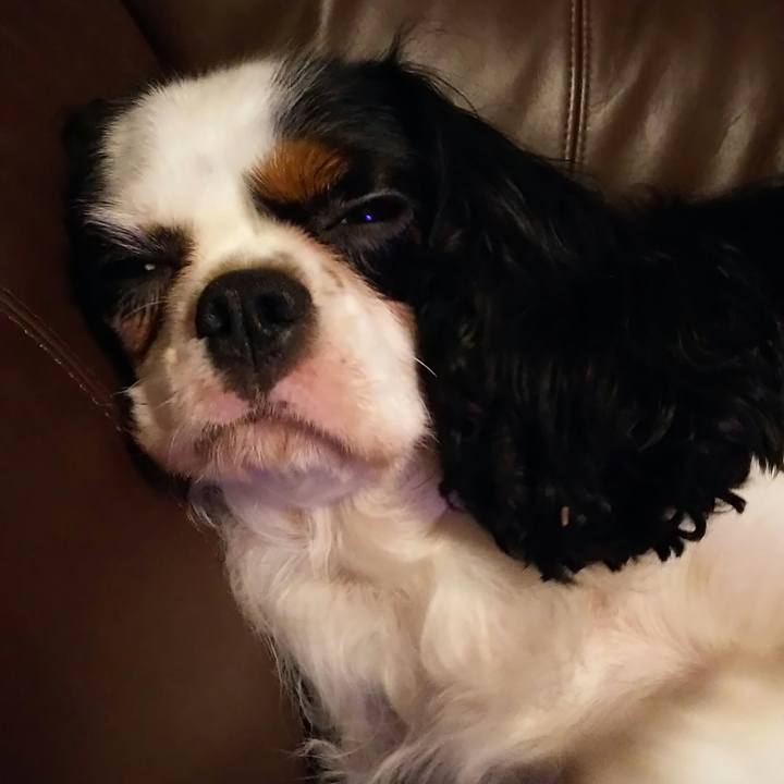 4d024eb7 1d4c 4850 9451 527d18692c04