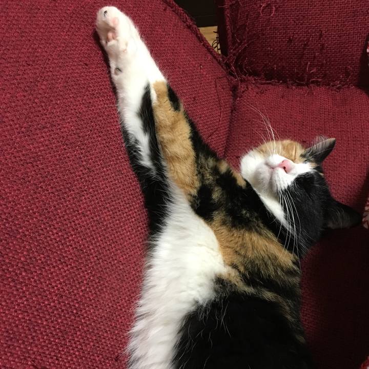 4d0264a1 eaaf 4299 b711 a33de09b907c