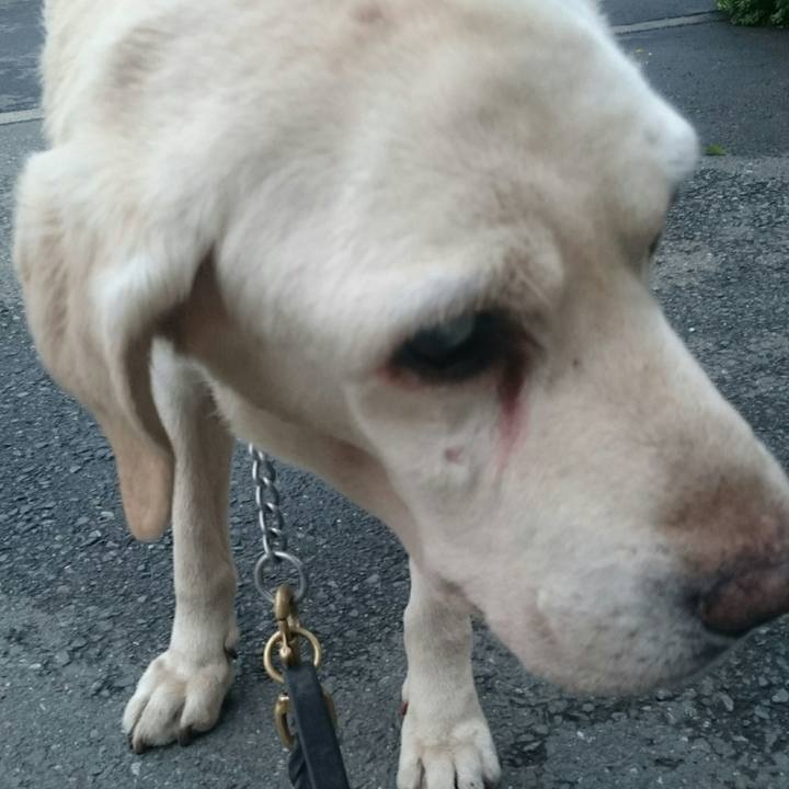 4d0376af bb8d 468e 976d 71a5ba9e627d