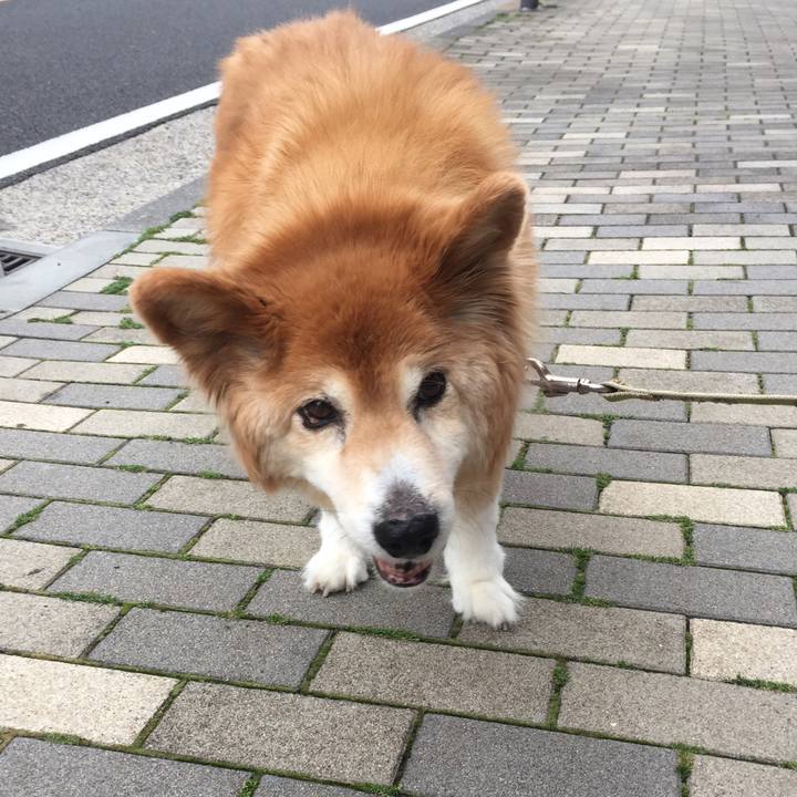 4d03877b 5c25 4267 adf3 8c40aeef5296