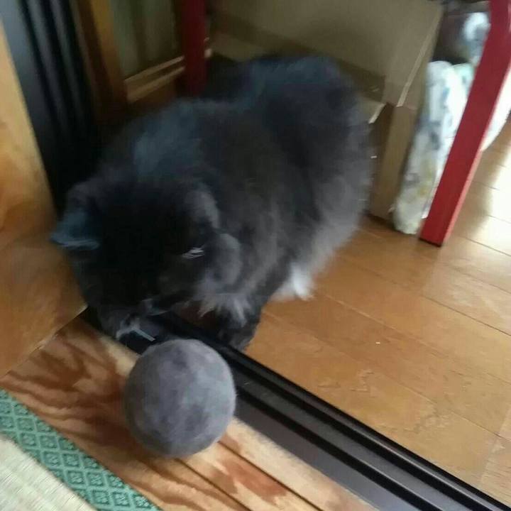 4d03a486 8fc2 4108 805c cbba21376294