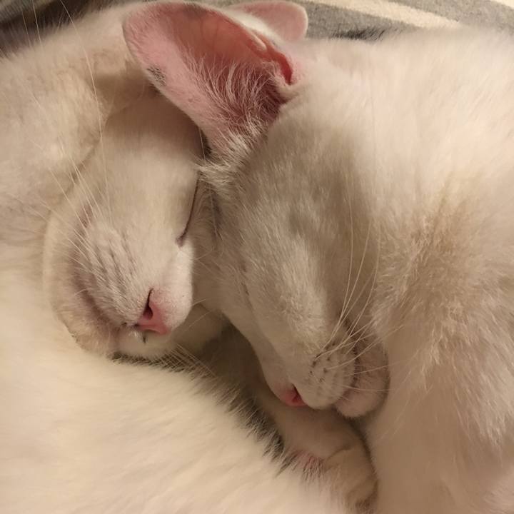 4d0432f5 6bbe 420f 8787 4ed473c00bfc