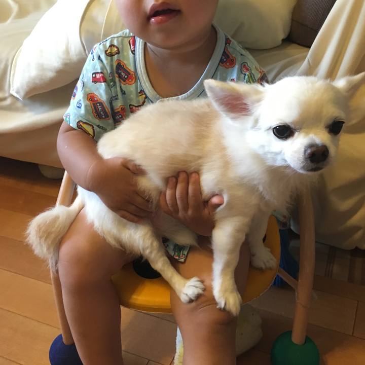 4d0474f2 c30d 4e48 a8e7 b44690cb200a