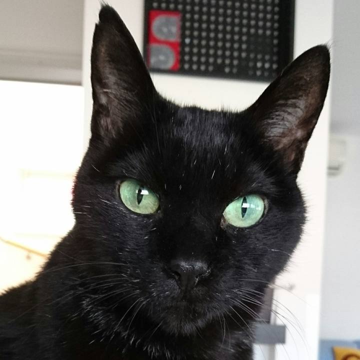 4d04de42 6bfc 46bf aca7 9f6623a1de4c