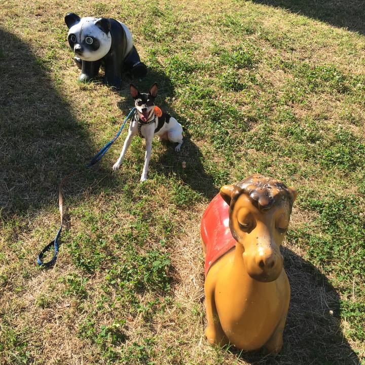 4d04e8ee e5b3 4893 a2fa ee805810ead9