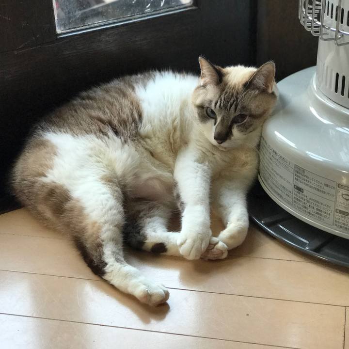 4d050efc 2dfb 4955 a513 c8c71549c140