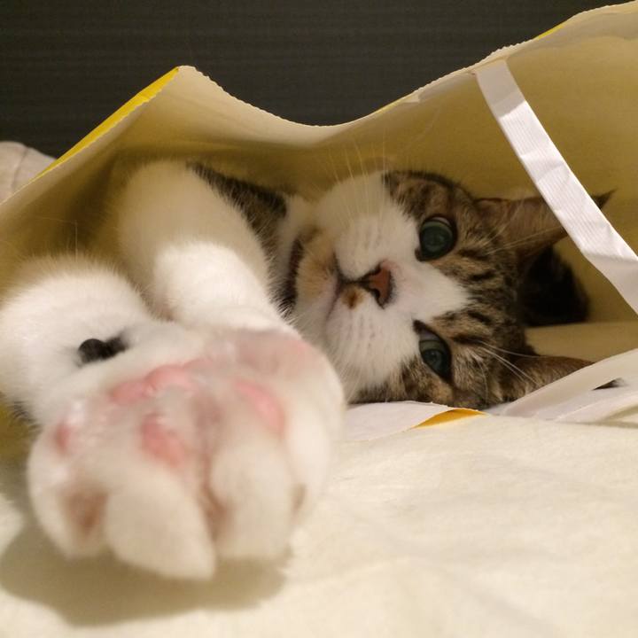 4d05718d e0bc 41f9 90f0 16b67ededf28