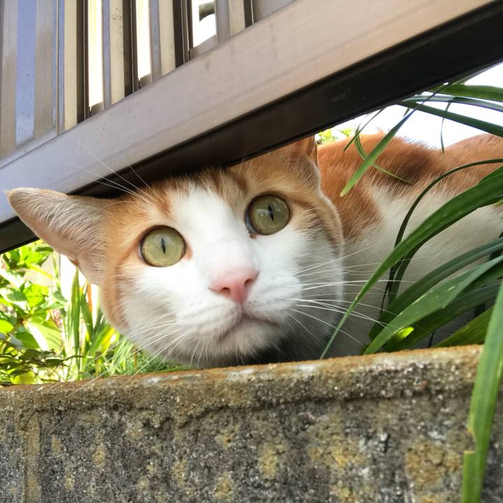 4d05f0b3 b242 43b3 8417 c42623524614