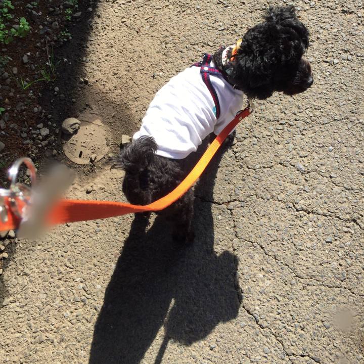 4d05f11b 1506 4e60 a839 e4bb2d81d3e3