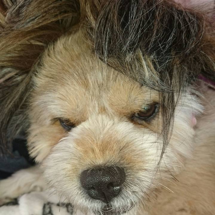 4d067959 c2d1 40b5 aa85 85a53cef2785