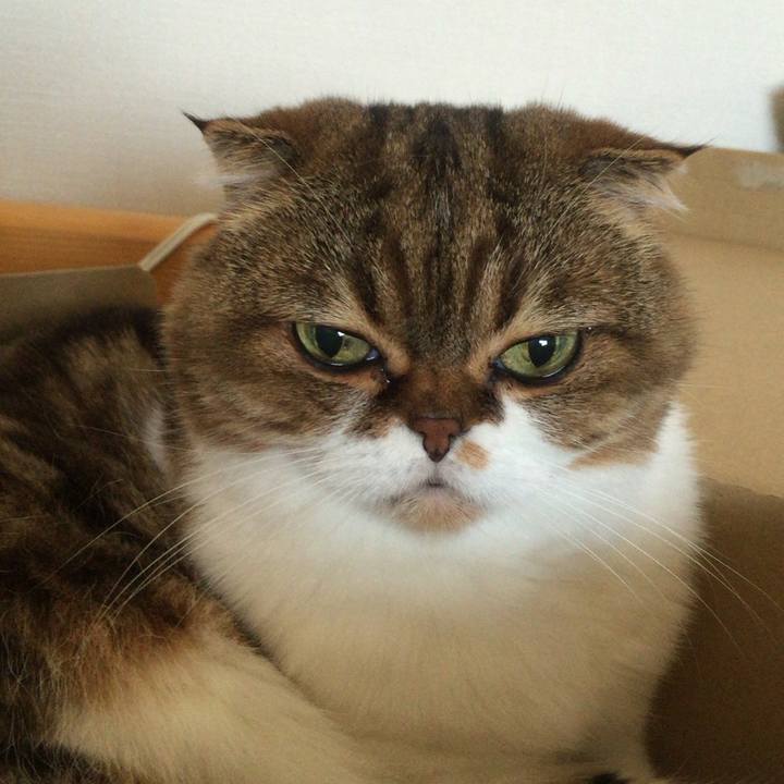 4d06ae12 2806 4f92 90f5 80976e1187d9