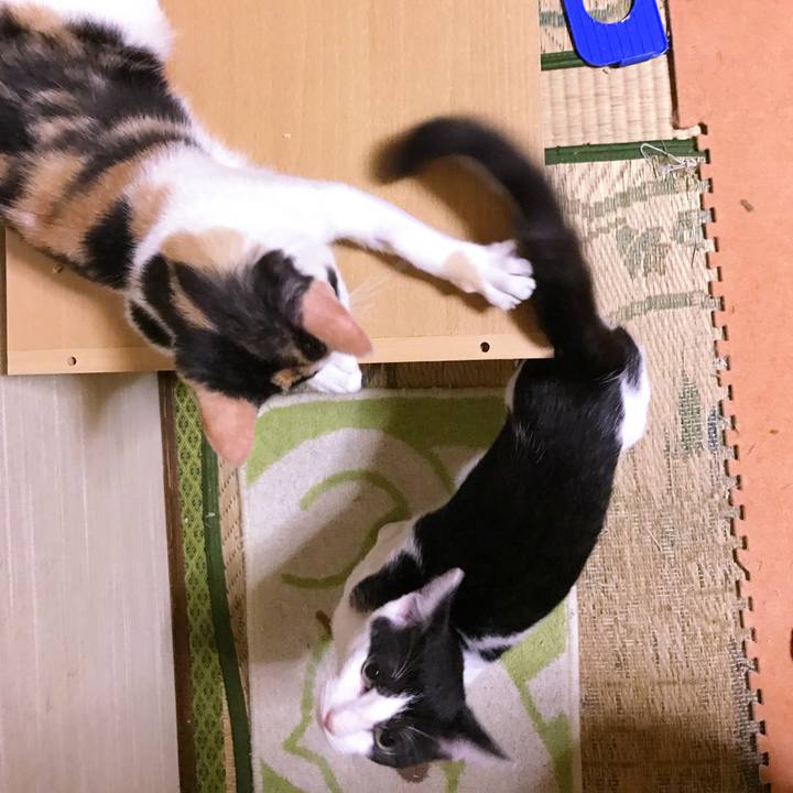 4d06ca8d b2cd 4602 94de e49cd1d7bf6c