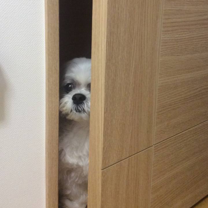 4d070c6b 7fae 416d 81ad 6503021833e9