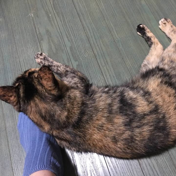 4d071509 65c9 4eb3 9a2d b25b06c6a72c