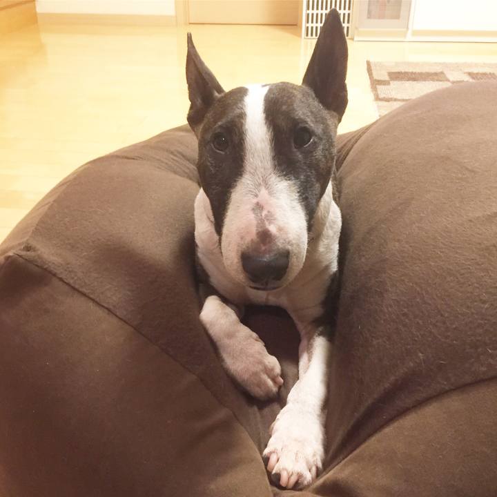 4d073594 5304 418f b040 f67deb6169b1