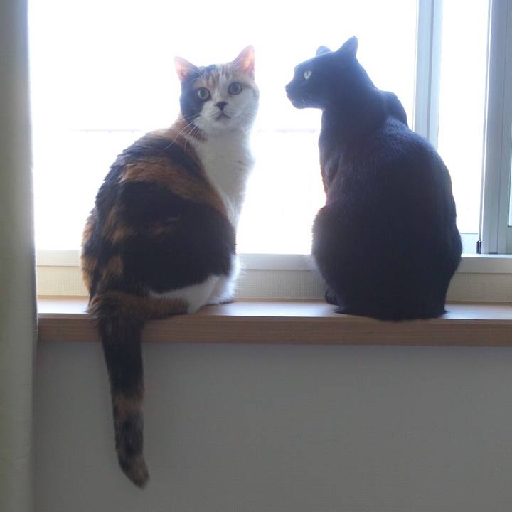 4d080d56 43b1 4ab7 afa0 5cac7bf29d1a