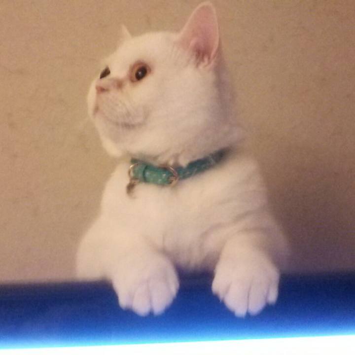 4d082b17 5c1f 487c 9a16 50b640c418ad