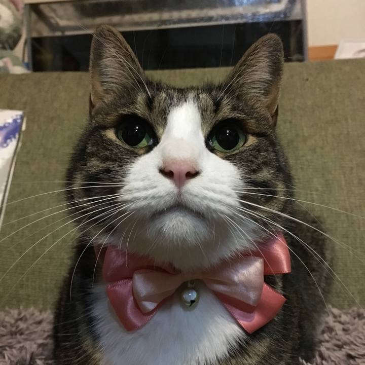 4d084c40 519f 481d a89e 612357885e88