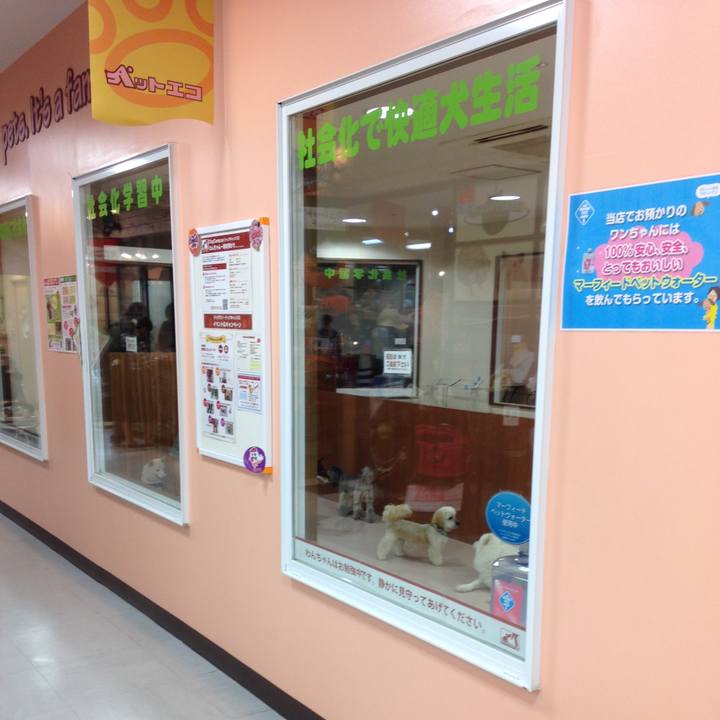 4d08dd61 0ce1 4ad1 a09b cbd5bc2132f3