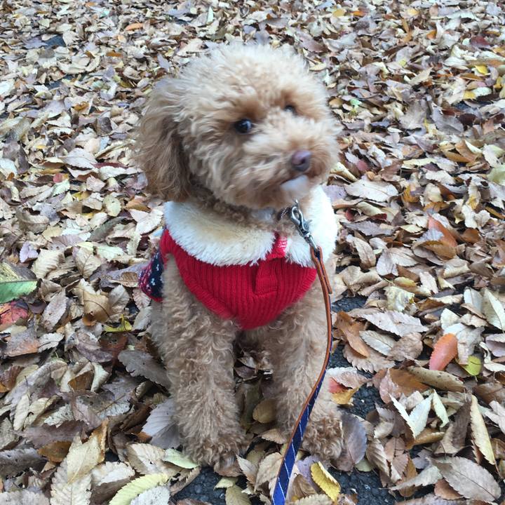 4d092fbc c4ea 4c4a af49 00ae8daf112a