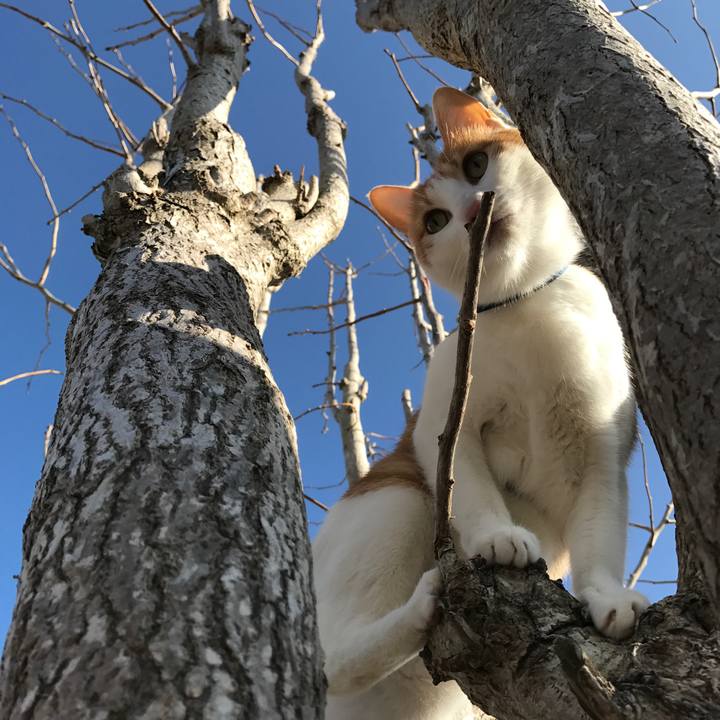 4d097825 4553 4fd9 a7e5 149bd06c89fb