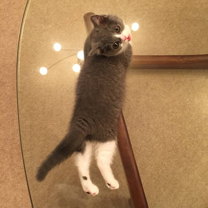 4d0982c6 dfdc 4c18 9411 8f20fef0f2bd