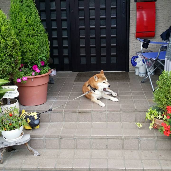 4d0aef04 3e58 49e7 befc 0afbb67ddca1