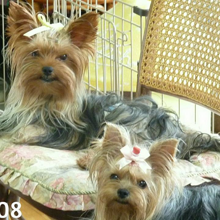 4d0b72ff 63a9 4c9d b827 ccb1e27b1bdd