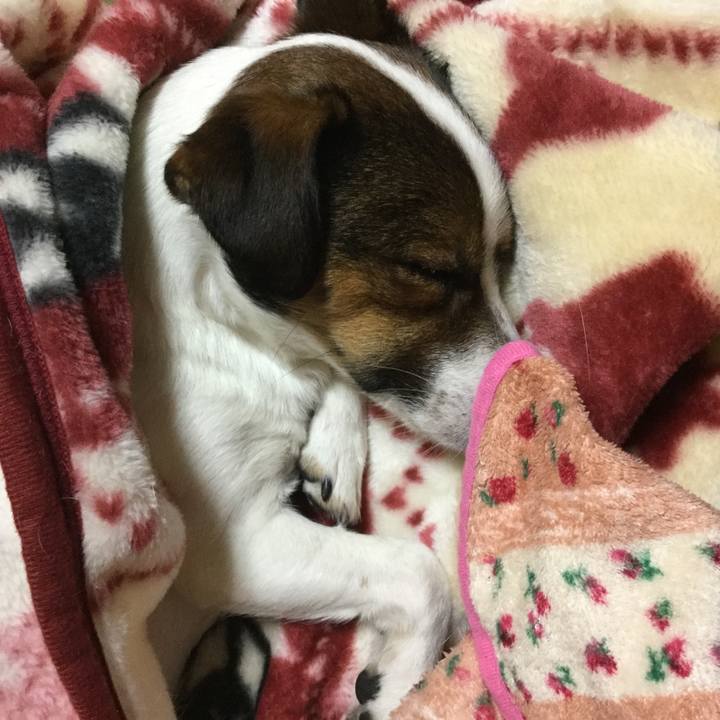 4d0b748e c5dd 4444 8231 5c0deae78296