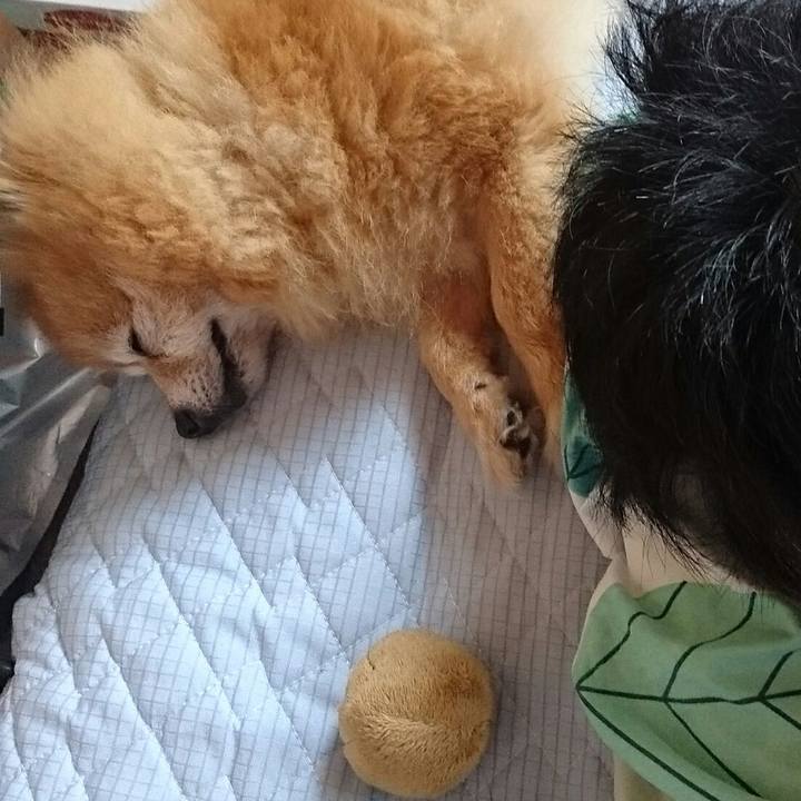 4d0d76ea 3e6e 41cf 826a 6f87d86e3442