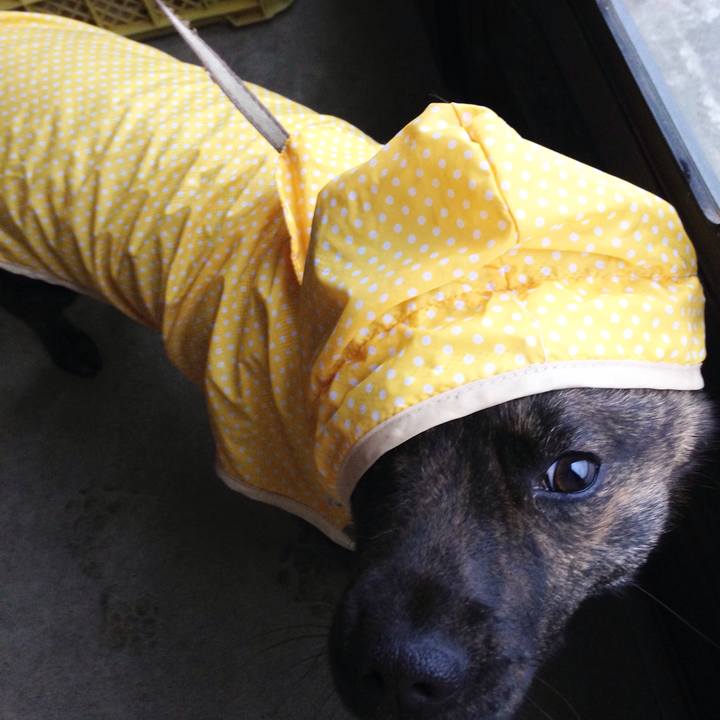 4d0de644 2861 4297 888e 98e54fc8bfb5