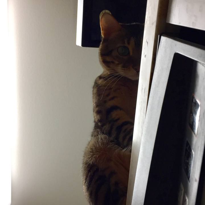 4d0e2463 b8af 47c8 90a0 302d7c9e531d