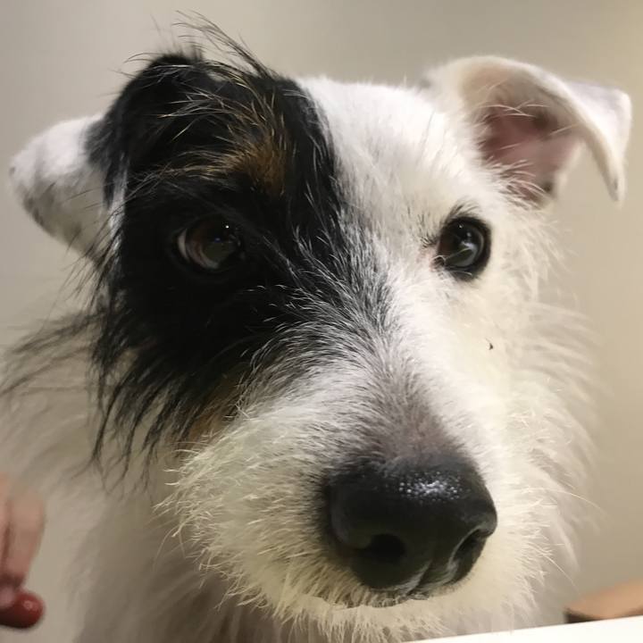 4d0e8059 f744 41b6 bc11 37f364e671e4