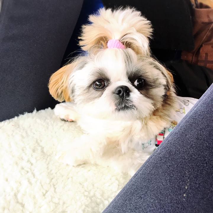 4d0eaba7 f85c 40ed a7d9 8104d9e6b5c3