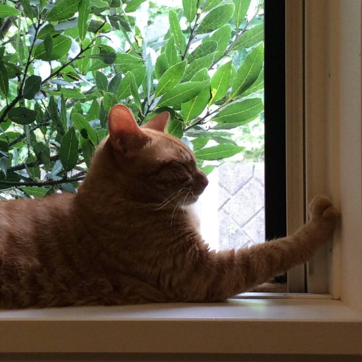 4d0ebd98 3fa1 49ae ac6e ad54dd5f14e4