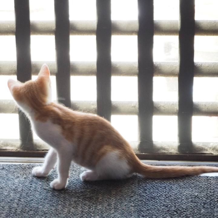 4d104005 9a00 4d2c ac9e f71b91fb48fc