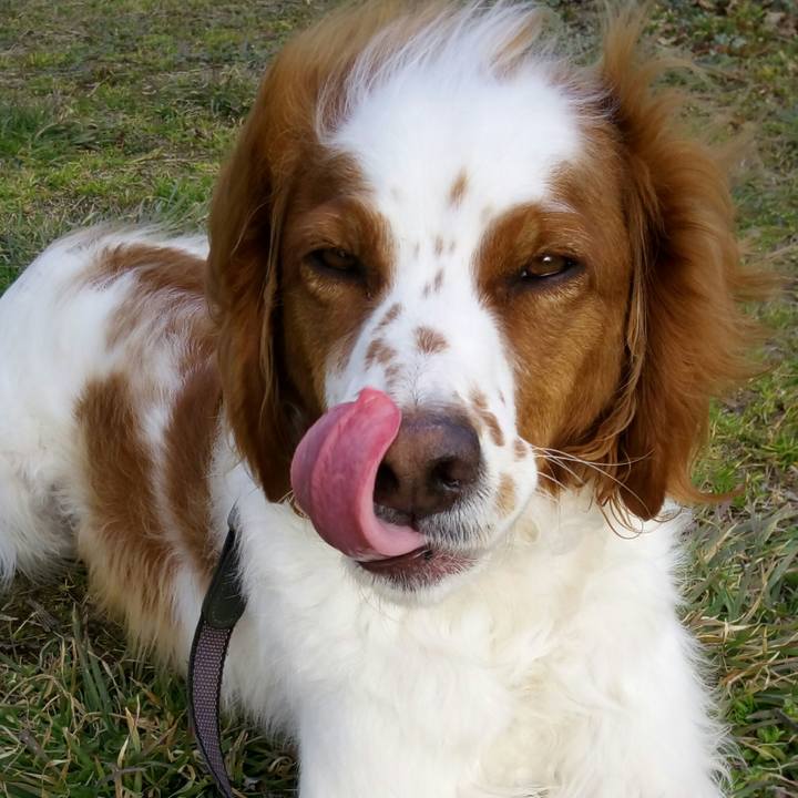 4d108d87 5dcd 44ec bbd1 7cbc9e9d8a39