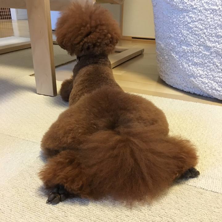 4d114132 d669 42a9 b139 50a0f658c962