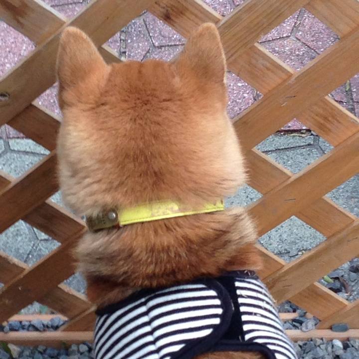 4d1149f6 2076 4fa7 8deb 8254b3d4a034