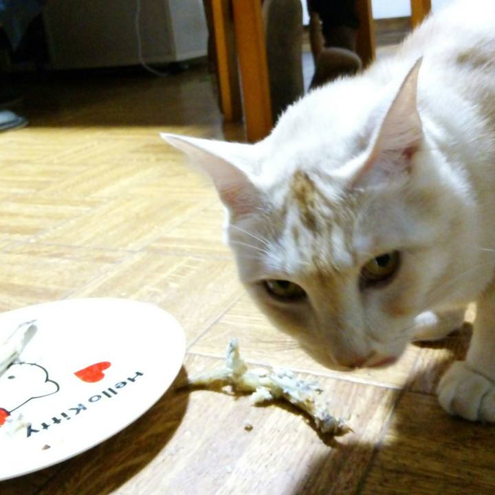 4d115e24 a4fd 4ce3 ac57 9faa12429d6d