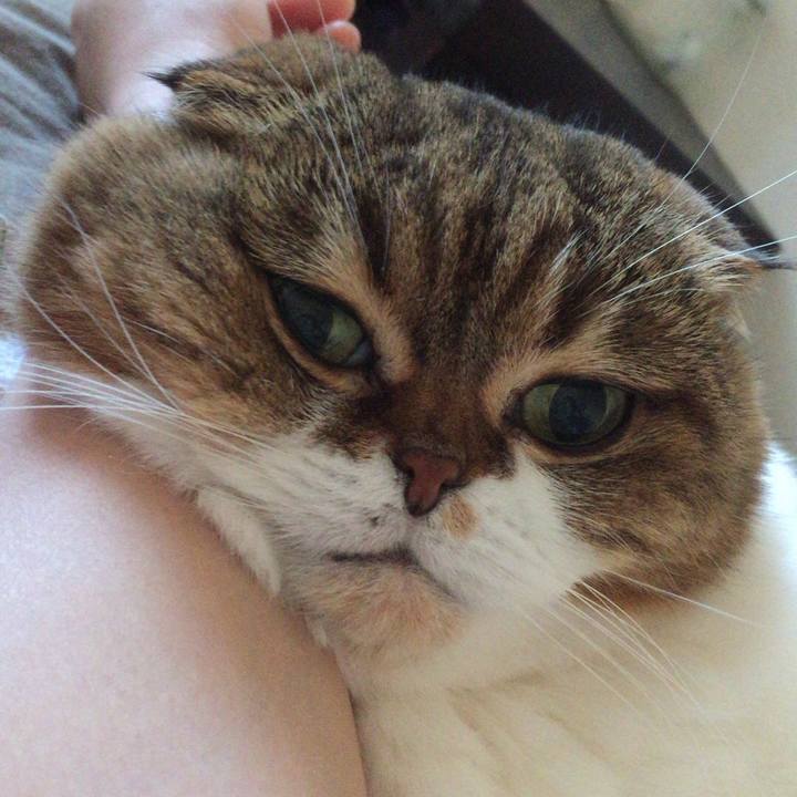 4d11ae88 585d 4ade 96c3 8d9f3b89cece