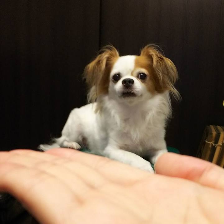 4d12ffea 4fee 44cd b637 ce780365b0c8