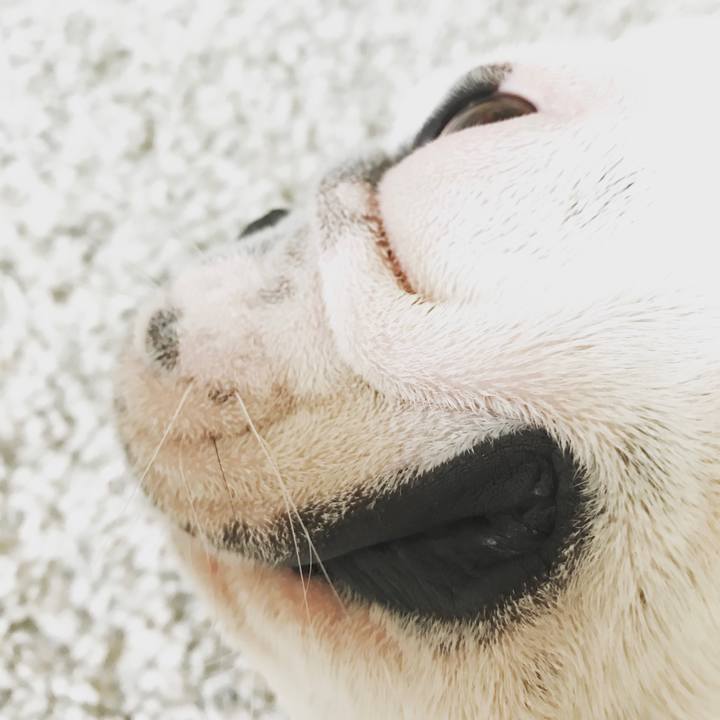 4d137bb5 b42b 45de aad7 5cd70dcda929