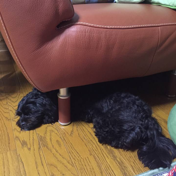 4d137ebd f9da 4645 adbd 874cc3a911c5