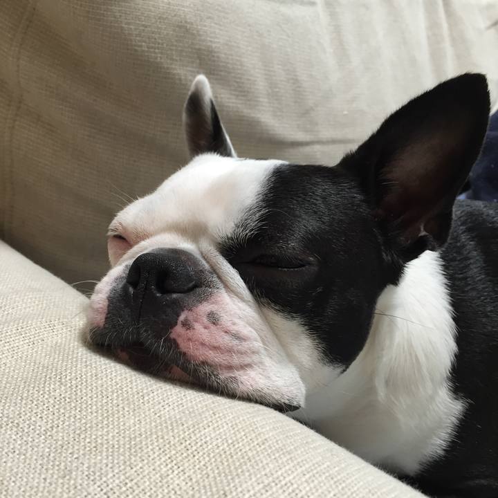 4d1417a2 e7d6 4c4f bf5d 63686f3b0447