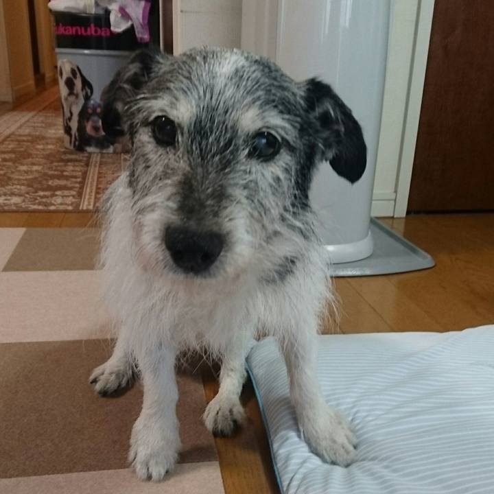 4d1445a2 dafb 47b7 bba7 5b14c15f8e04