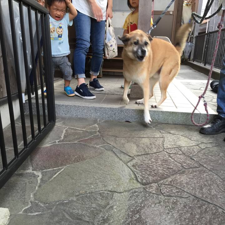 4d15771a c68a 402a 94bf b862b9e2de1f