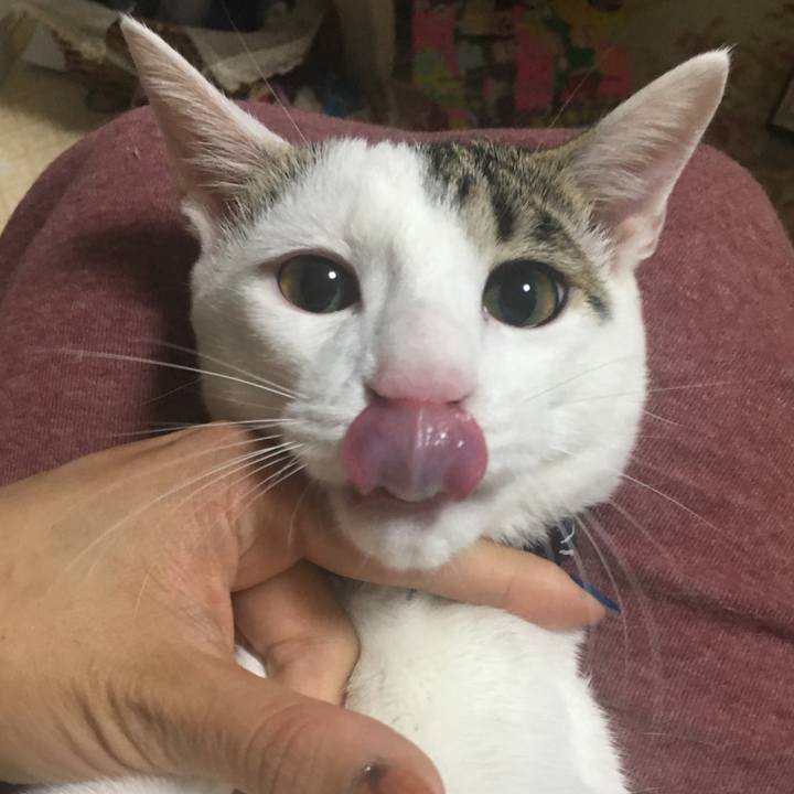 4d1595b9 9ac6 4f9a 9950 6b35ef1ee214