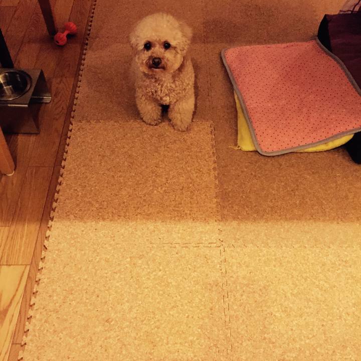 4d15f028 965f 4a5f b5e1 21047c3e7b22