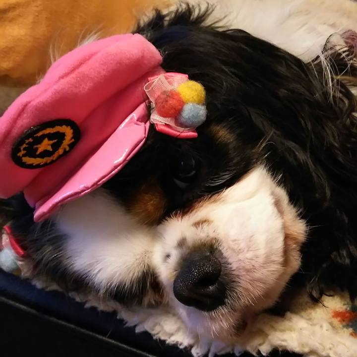 4d160392 3a5c 4228 a099 eee8df0e2742